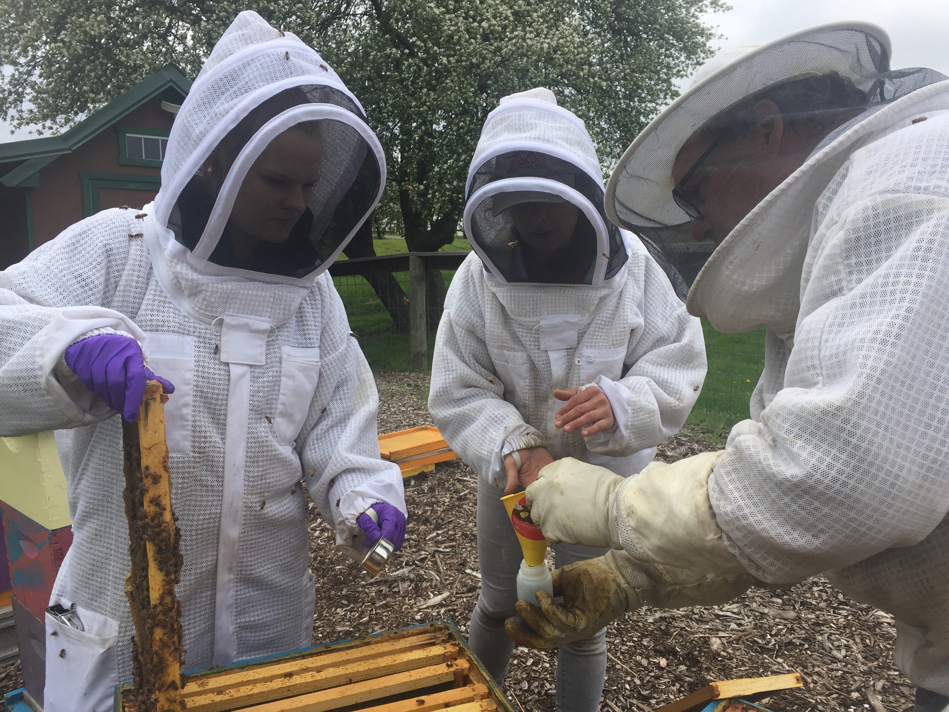 Policy research figure