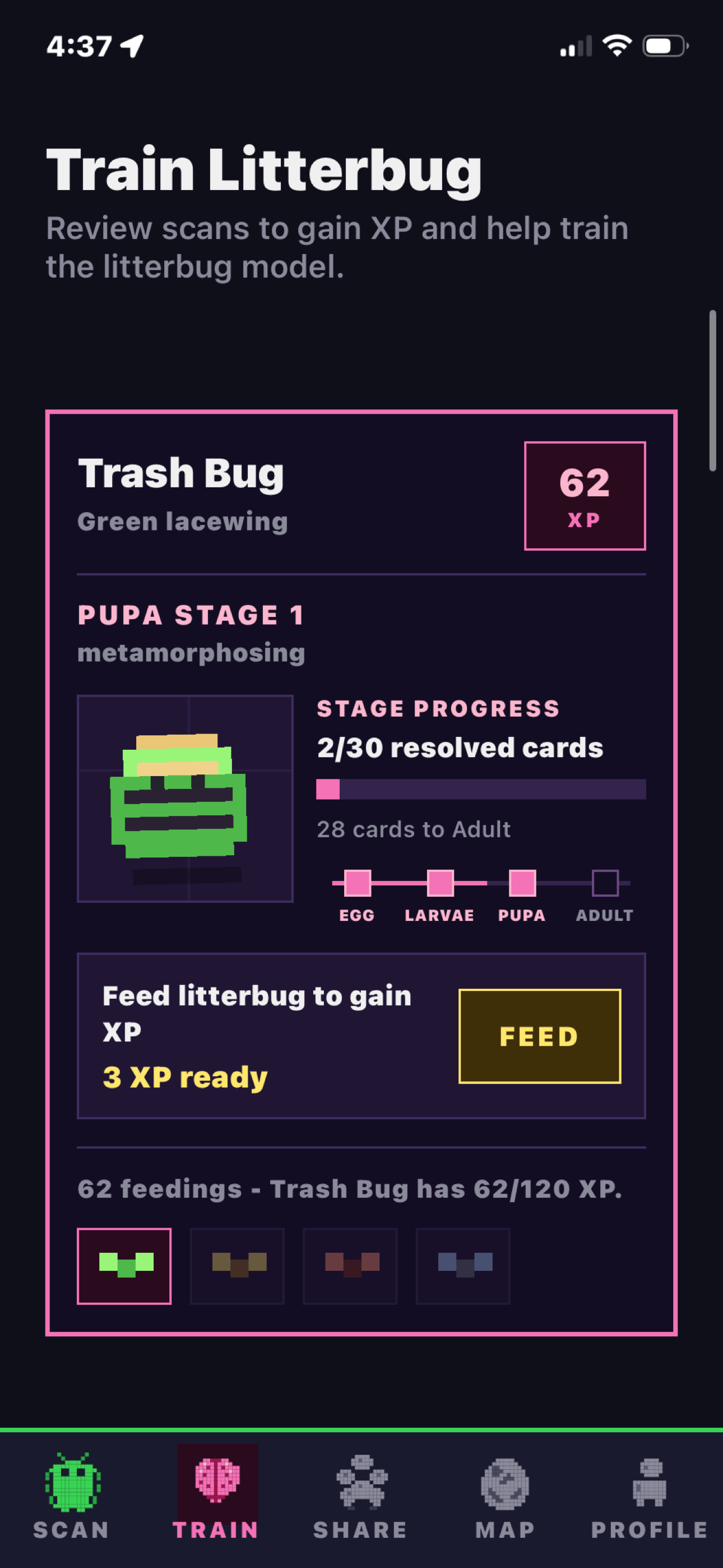 Litterbug experience and progress screen
